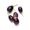 EGGPLANT BABY