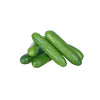 MINI CUCUMBER PACKAGE