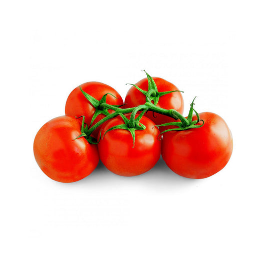 TOMATO CLUSTER LB