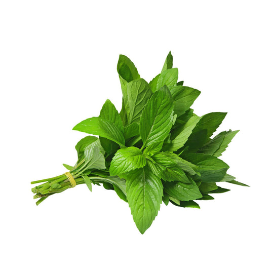 MINT MORROCAN BUNCH