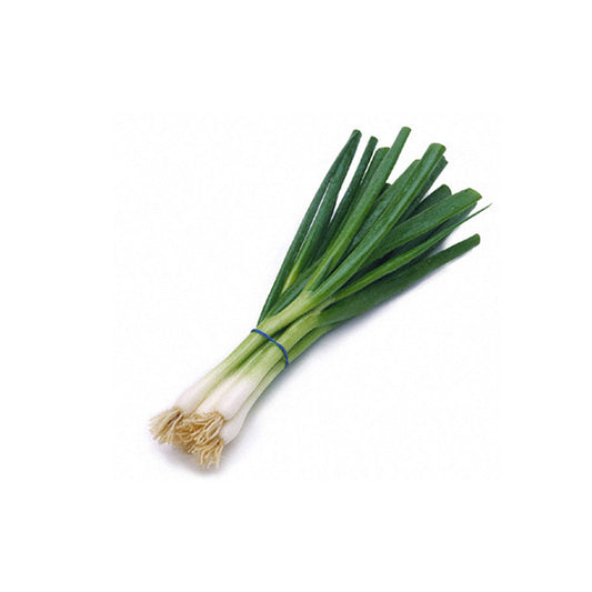 ONION GREEN BUNCH