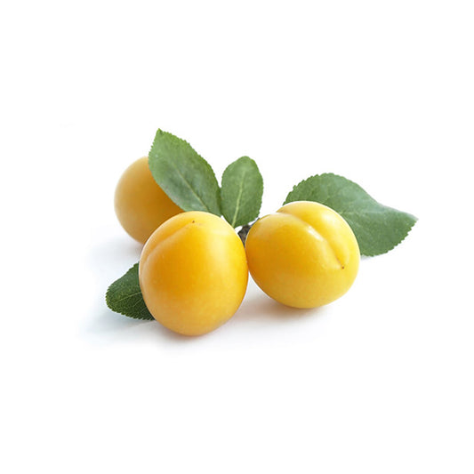 YELLOW PLUM