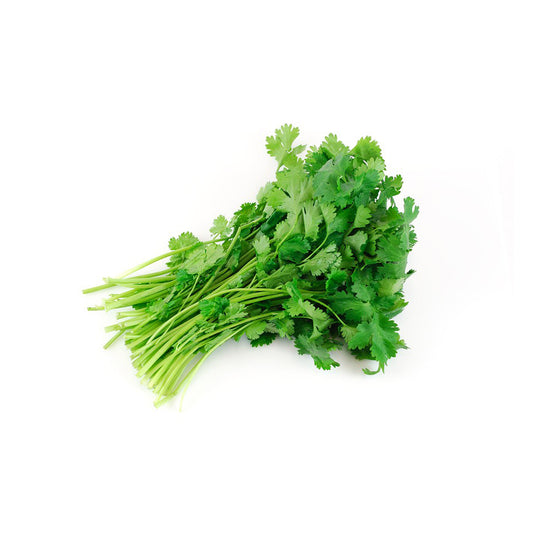 CILANTRO TEXAS