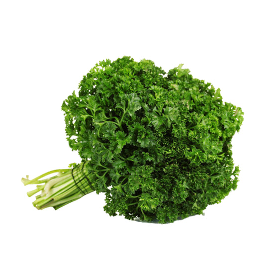 PARSLEY CURLY