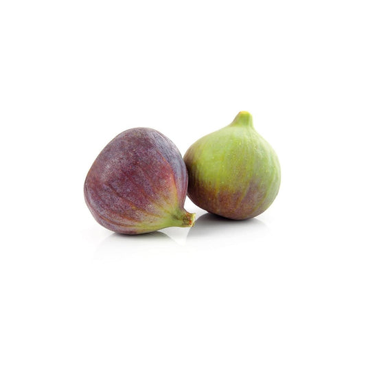 FIGS #1